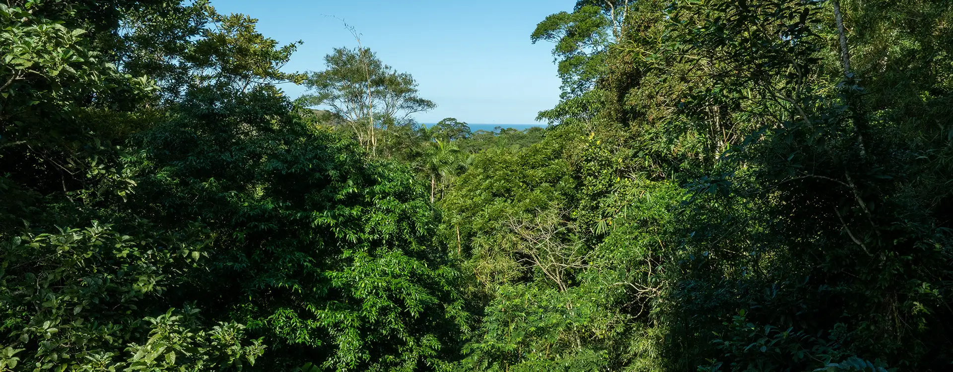 Produção audiovisual para conteúdo ESG